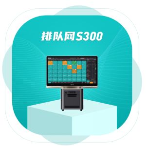 排队网S300