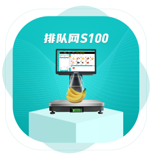 排队网S100